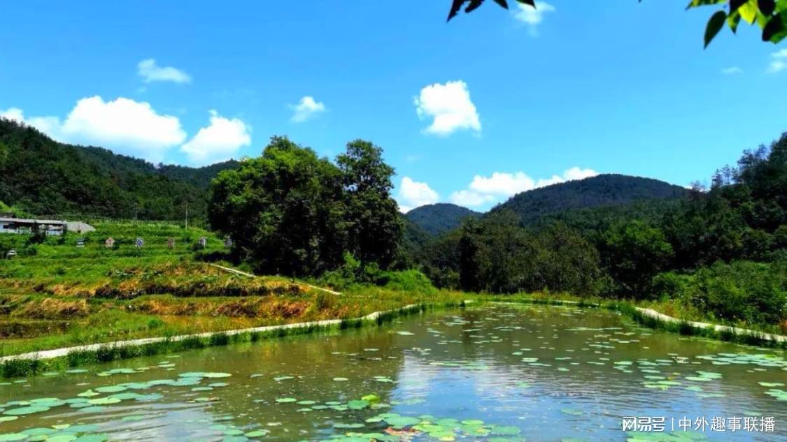 杨利伟回应神十九推迟一天回家