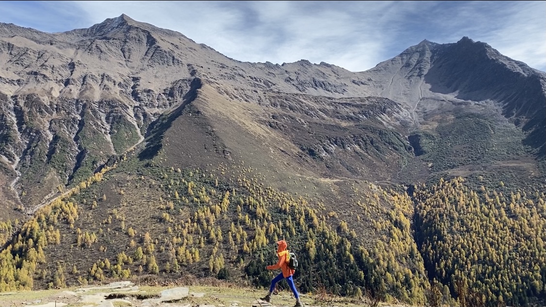 24小时自助下单平台小红书